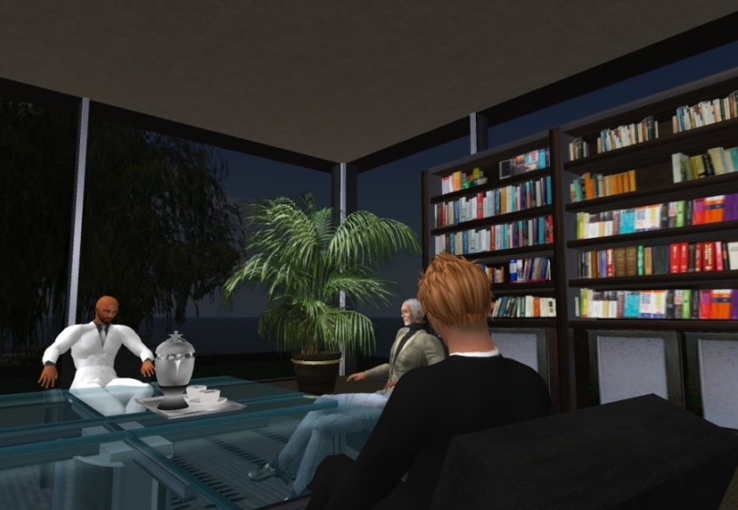 Ein Vorstellungsgespräch in der virtuellen Welt Second Life