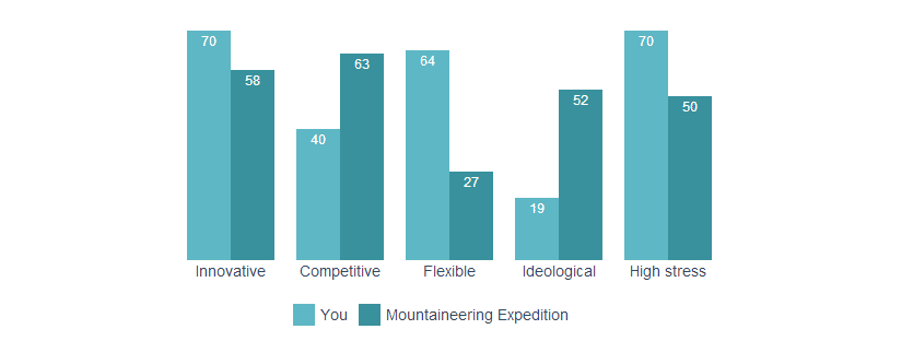 Einschätzung des ideal zum Teilnehmer passenden Unternehmens-Typs