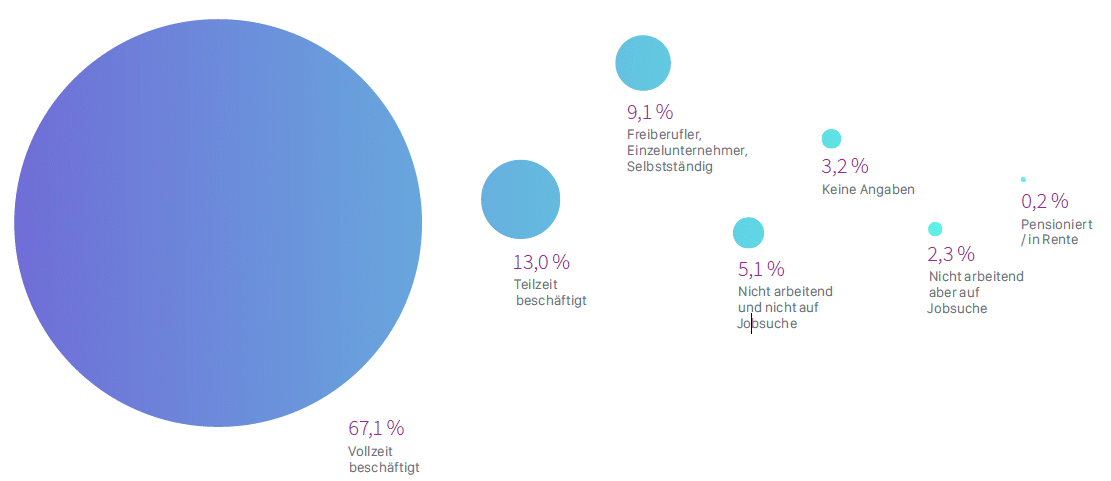 Stack Overflow Report 2017: Was deutsche Entwickler wollen - Grafik 2