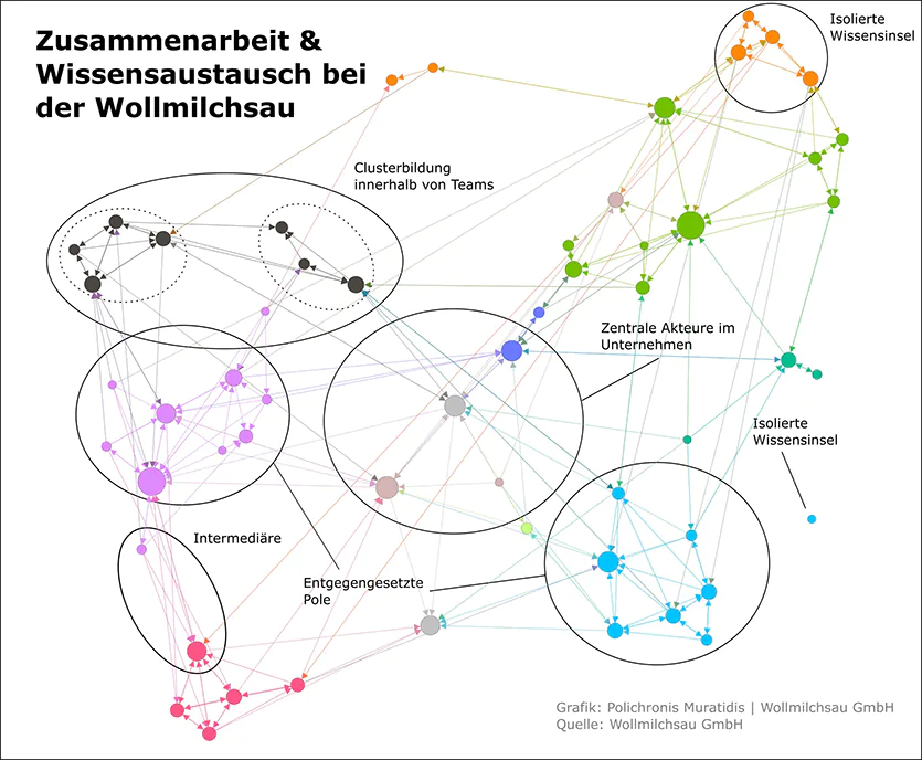 Organisationsstruktur